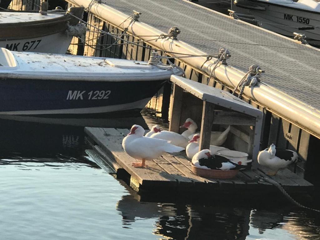 Apartment Aquamarin, Blizu Mora S Pogledom Na More, Za Do 6 Osoba Malinska Εξωτερικό φωτογραφία